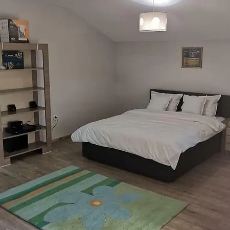 Viking Apartment Grigo-3