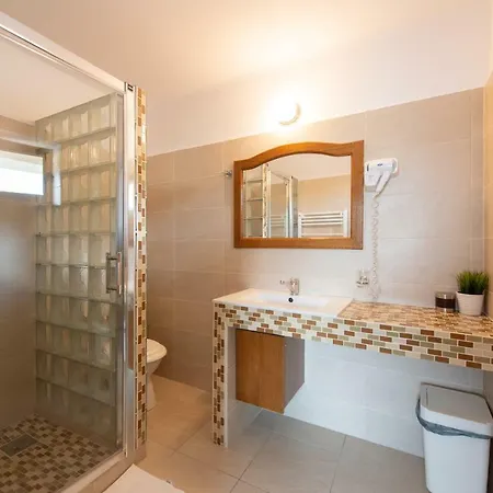 Camere de inchiriat Casa cu flori-3