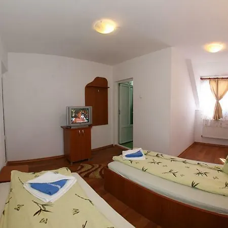 Vila Ursu-3