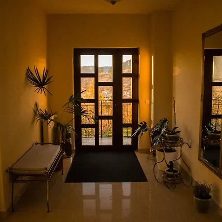 Panoramic-3