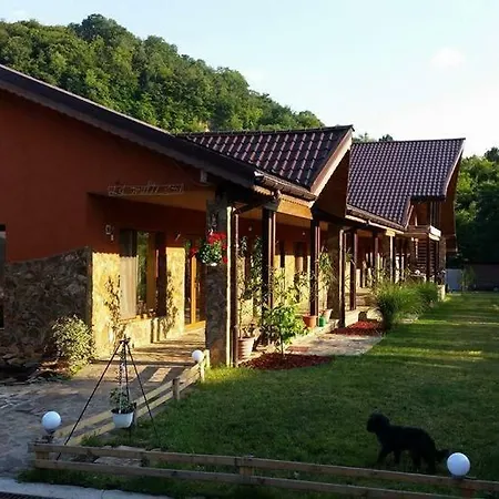 Pensiunea Raiul Munților-3