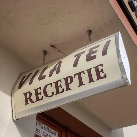 Vila Tei Guesthouse-2