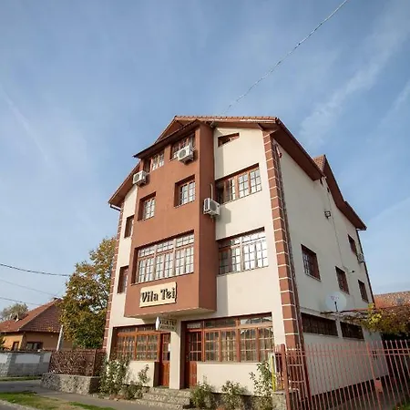Vila Tei Guesthouse-3