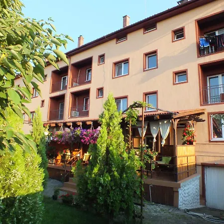 Pensiunea Larisa-3