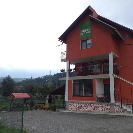 Pensiunea Dor de munte-3