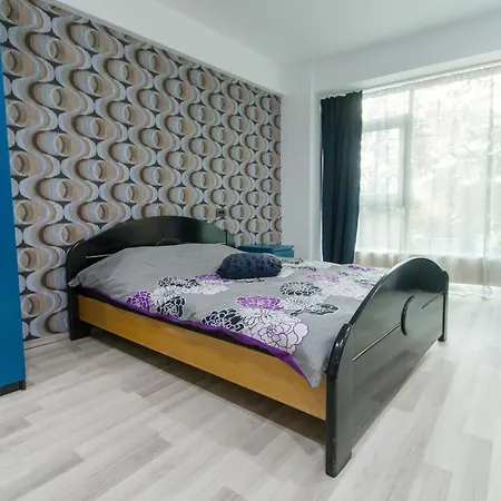 Aparthotel Domneasca 228-2