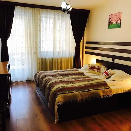 Pensiunea Ciprian-3