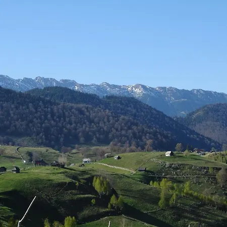Casa Mărioara-3