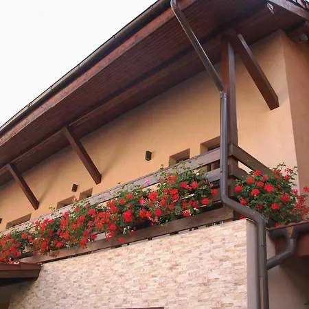 Vila Andrei-3