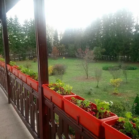 Casa "Ierusalim-Hozeva-Hozeva"-3