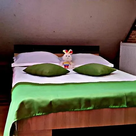 Pensiunea Micutul Vrajitor-3
