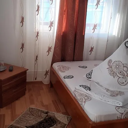 Casa Nicoleta-3