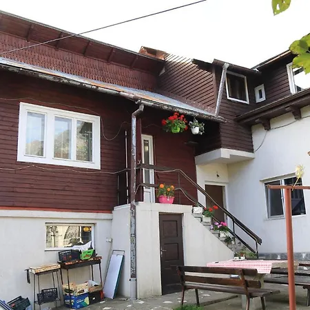 Casa Maria Busteni - Poiana Tapului-3