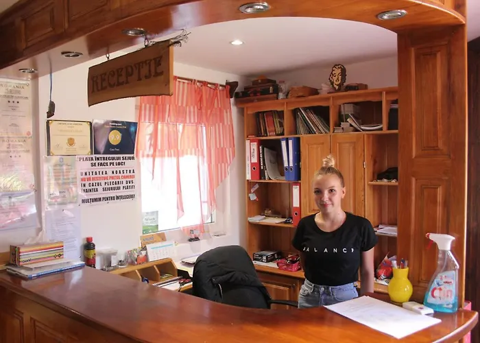 Pensiunea Nagy Vişeu de Sus, România