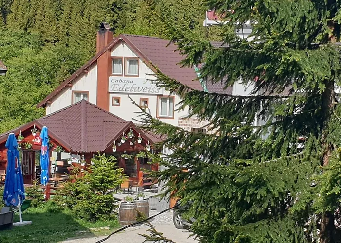 Cabana Edelweiss