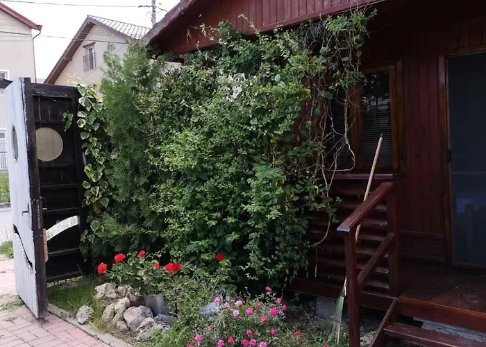 Casa Cris Will Hotel Năvodari, România