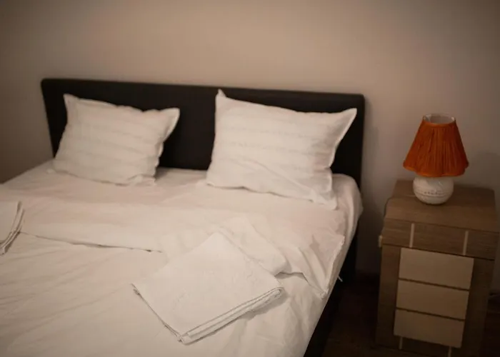 Viking Apartment Grigo Cluj-Napoca, România