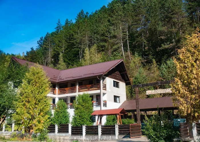 Pensiunea La Rachitele