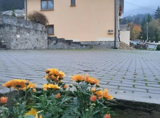 Pensiunea Casa Bella Durau