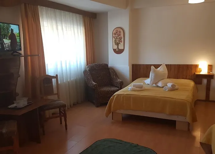 Pensiunea Casa Noastra