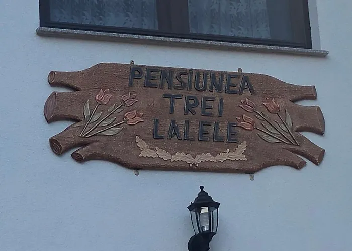 Pensiunea Trei Lalele