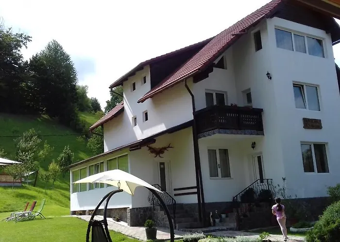 Pensiunea Vladut