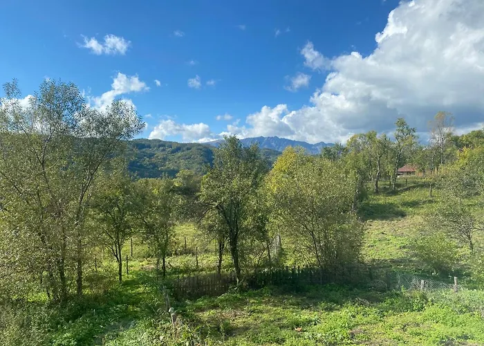 Casa Verde