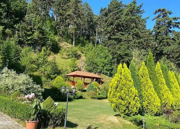 BellaVista Brasov