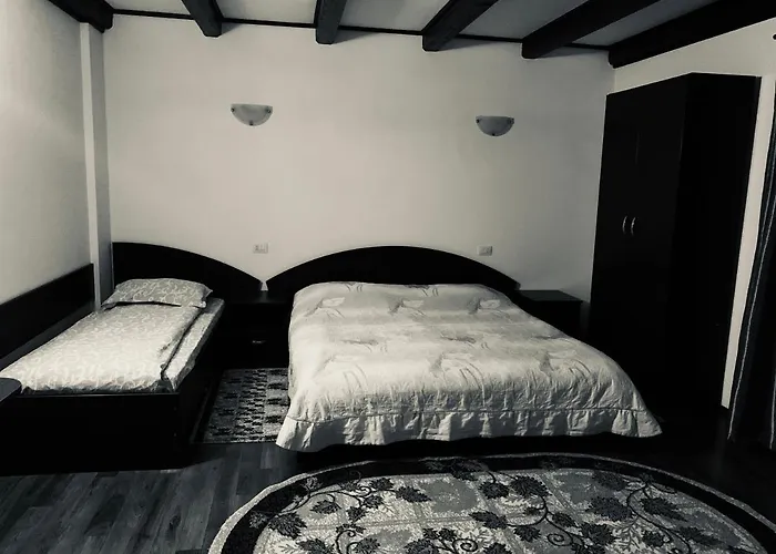Pensiunea Pietrosul Borşa, România