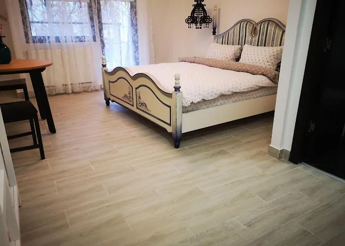 Stay in TimisoarAcom