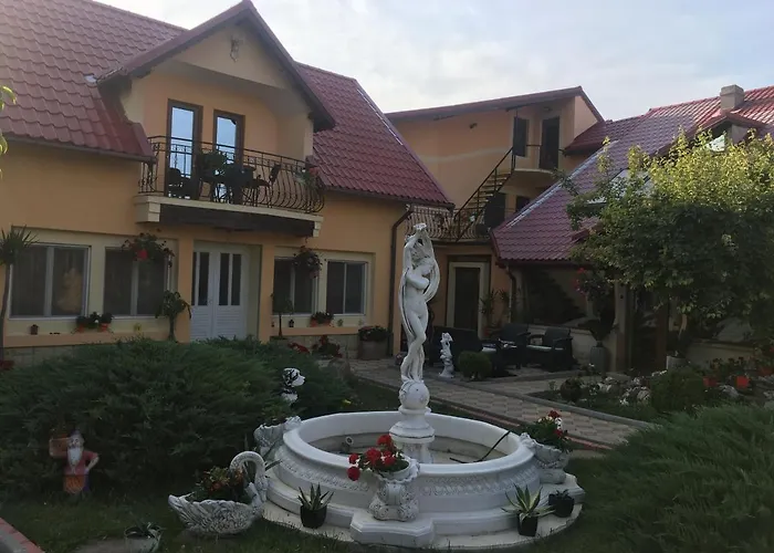 Casa Darius Costinesti