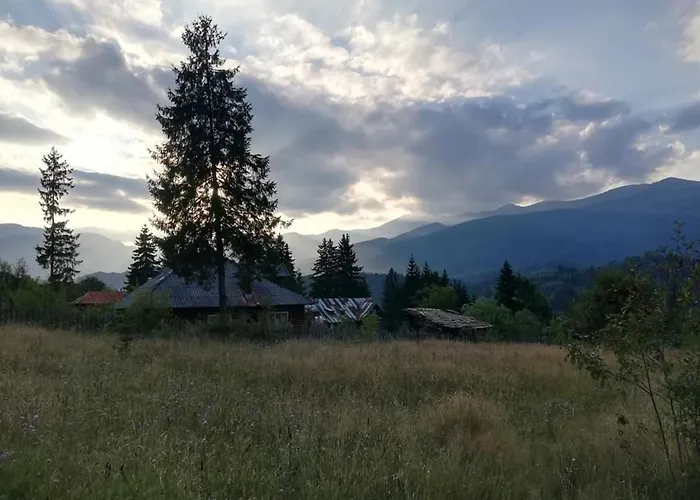 Căsuța din pădure de la Câmpu lui Neag Apartment, România