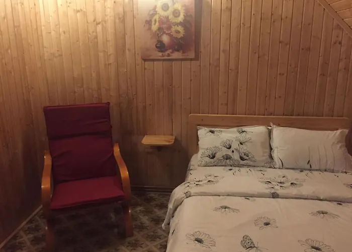 Cabana Ancutei