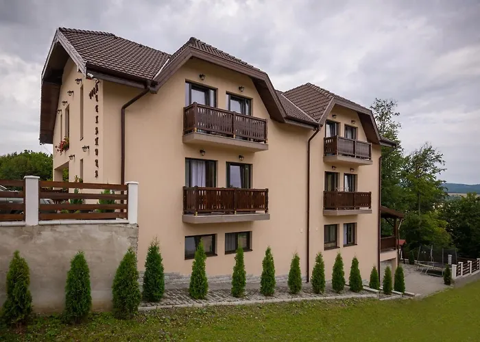 Vila Alexandra Sovata