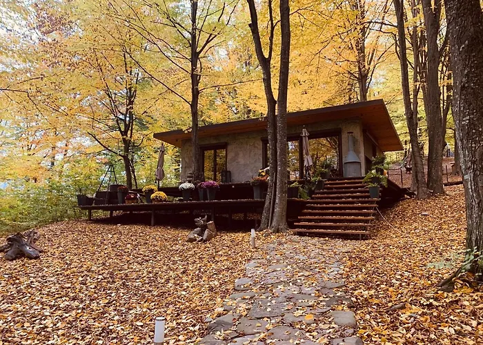 Luxury Lake House & Glamping