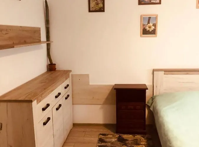 Mountain Loft Apartment Piatra Neamţ, România