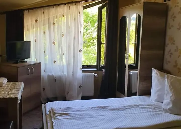 Pensiunea Mirela Peștera Urșilor Chiscau, România