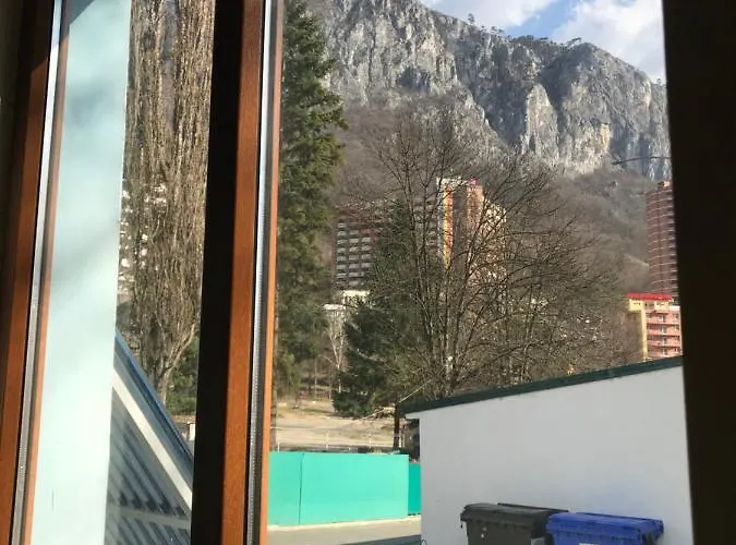 Pinul Negru 2 Hotel Băile Herculane, România