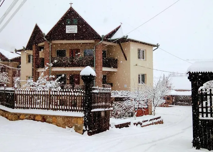 Pensiunea Bordás Panzió Sfântu-Gheorghe, România