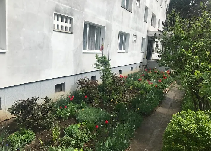 Apartament Colina