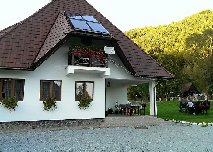 Pensiunea Muntele Gaina Tarsa , România