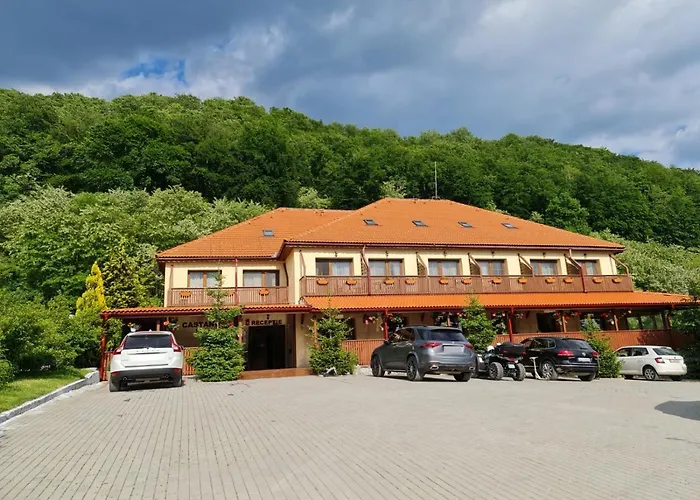 Pensiunea Castania - Pensiune cu piscina la munte Polovragi, România