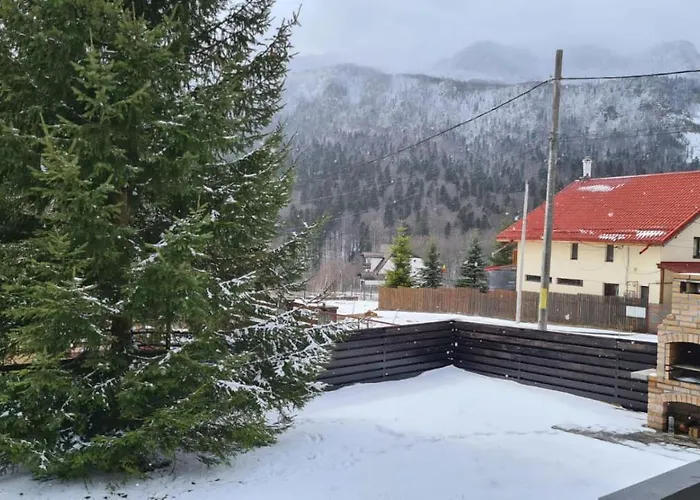 Nordic Chalet Sinaia, România