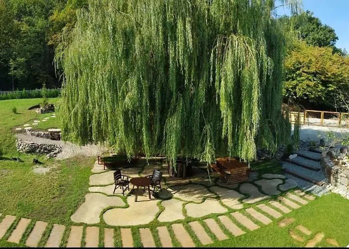 La Salcia Din Padure