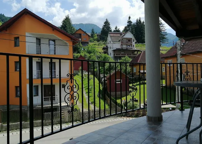 Pensiunea Timiș