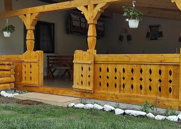 La Lenuța În Susani