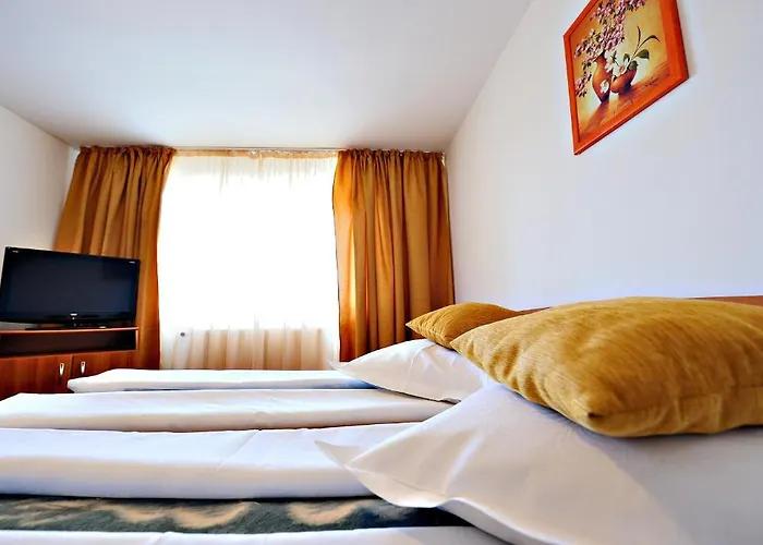 Motel Confort Floresti , România