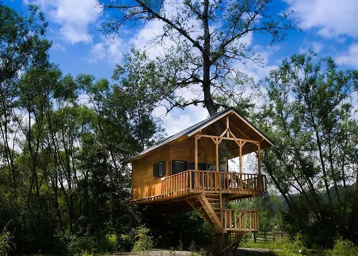 Cuibul Vulturilor - Casuta In Copac