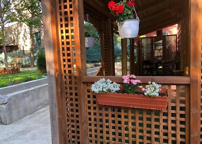 Casa Anina Hotel, România