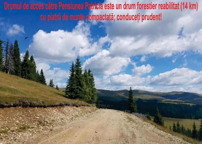 Pensiunea Patricia, Vârful lui Roman